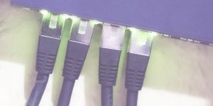 Lankabel an einem Switch