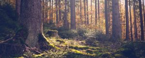 Hafenlohrtal 02