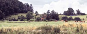 Rhön Landschaft