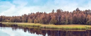 Rhön Landschaft