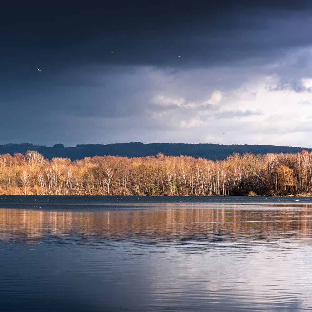 A DAY AT THE LAKE